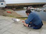 Groix2006 58