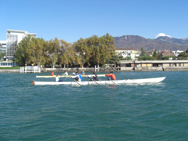CdS 009
