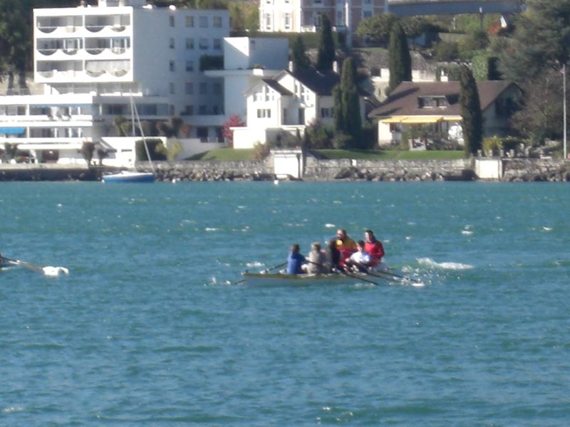 CdS 036