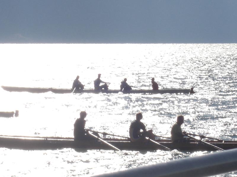 CdS 038