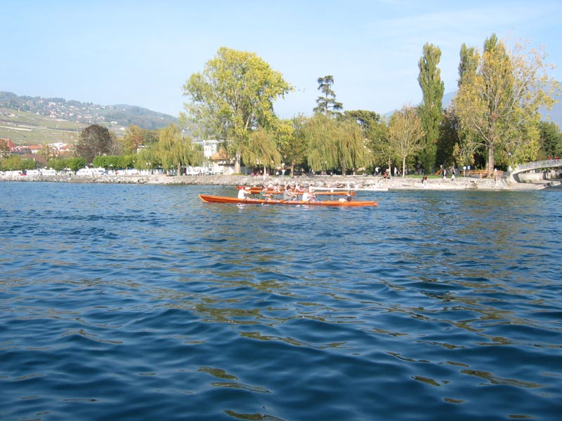 Coupe de la salée12