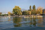 IMG_2467