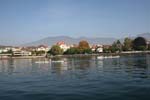 IMG_2478