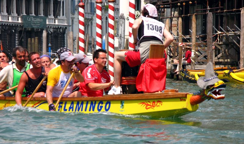 40 - Pirates Flamingo arrivent