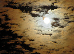 Source: http://www.flickr.com/photos/creacharles/3792861823/
