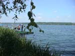 DSC00230