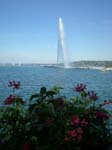 Ginevra_8+_006