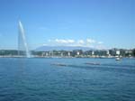 Ginevra_8+_015