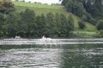 Rotsee 2008 172