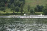 Rotsee 2008 173