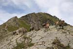 Dents du Midi CAV 020