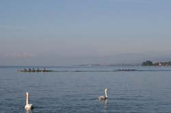 IMG_8398