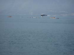 IMG_9307