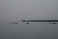 IMG_5917