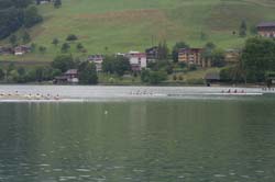 IMG_6800