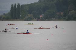 IMG_6806