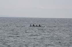 IMG_1338