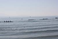 IMG_8610