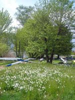 DSCN4049