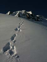 photo (3)
