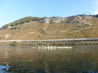 P1000638