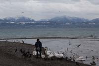 IMG_2455
