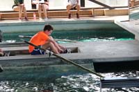IMG_4471