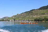 IMG_4518