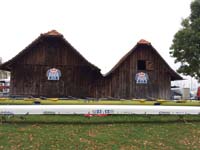 IMG_1959